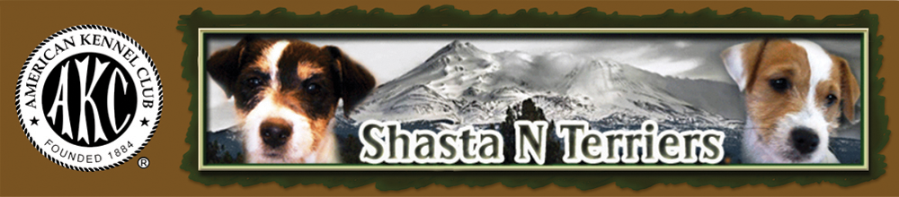 shasta header